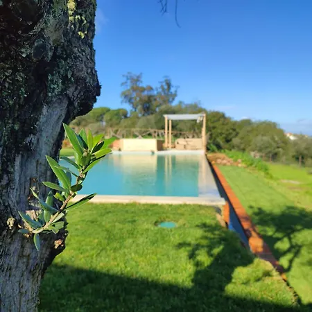 Quinta De Matrena * Macieiros