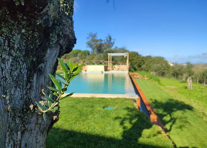 Quinta De Matrena * Macieiros